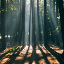 Load image into Gallery viewer, IKIGAI